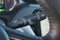 2021 Chevrolet Bolt EV LT